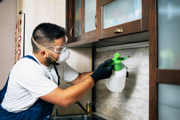 Best Cockroach Control Services  in North Industry, OH