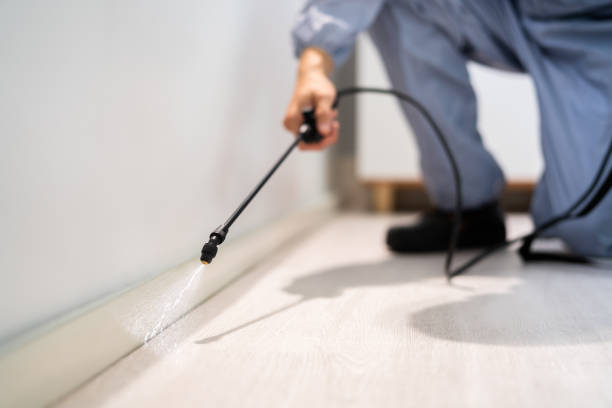 Best Flea Control Services  in North Industry, OH